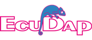 Accustica Inecav